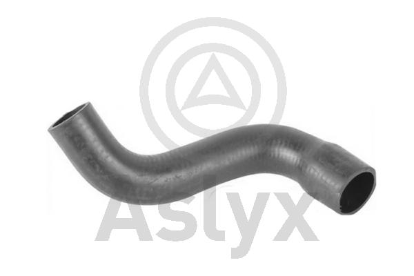 Charge Air Hose (AS-509749)