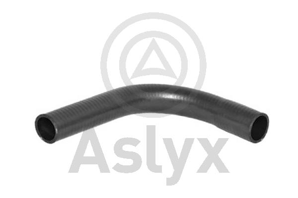 Radiator Hose (AS-203581)