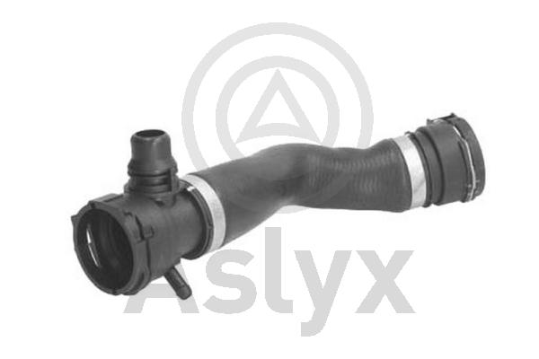 Radiator Hose (AS-509912)