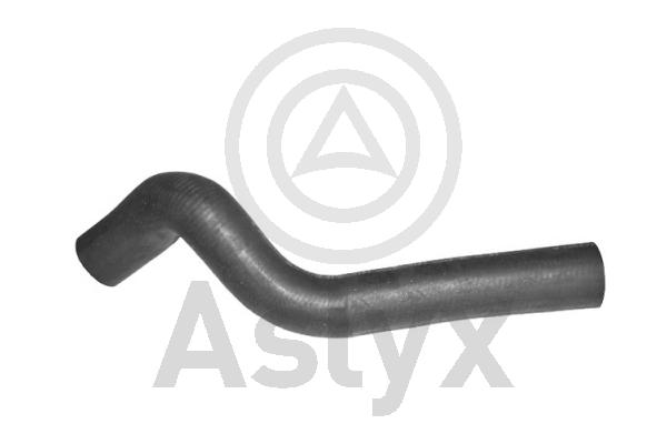 Radiator Hose (AS-203690)