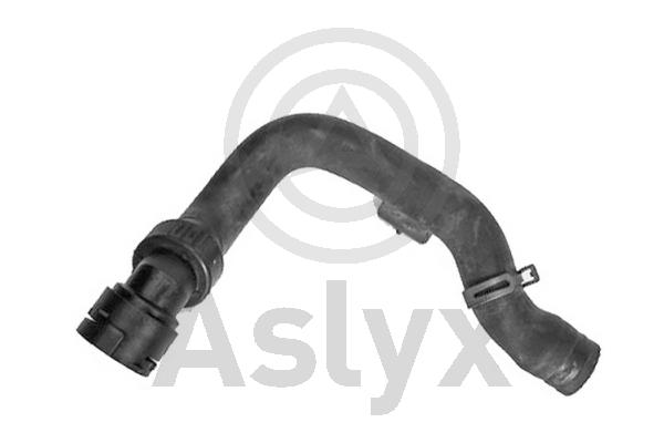 Radiator Hose (AS-204303)