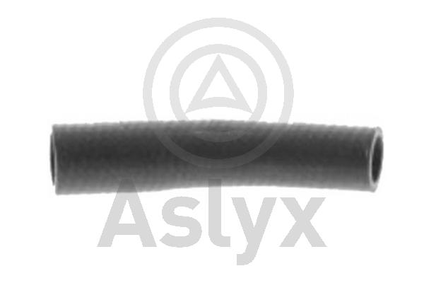 Radiator Hose (AS-203607)