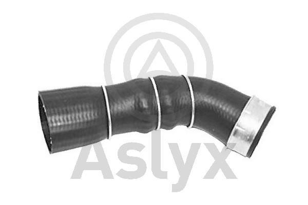 Charge Air Hose (AS-509795)