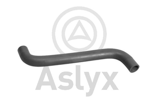 Radiator Hose (AS-204240)