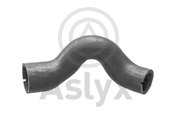 Charge Air Hose (AS-509776)
