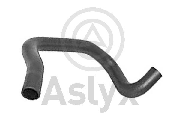 Radiator Hose (AS-204214)