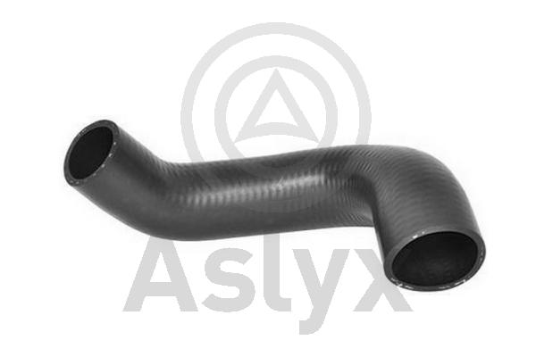 Charge Air Hose (AS-509861)