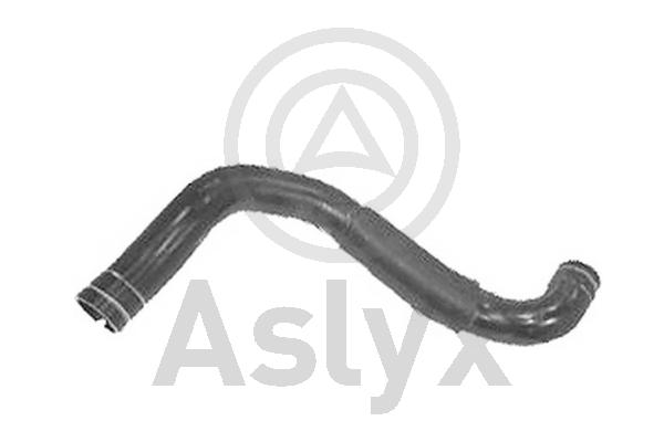 Radiator Hose (AS-203786)