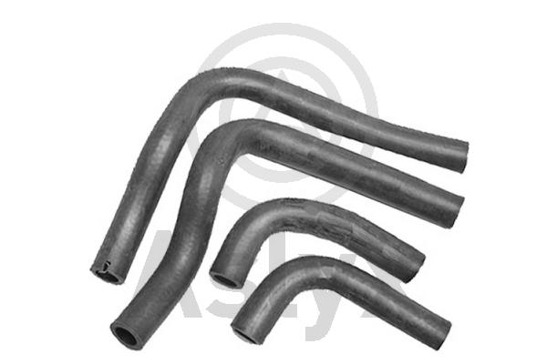 Radiator Hose (AS-203966)