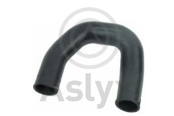 Charge Air Hose (AS-594320)
