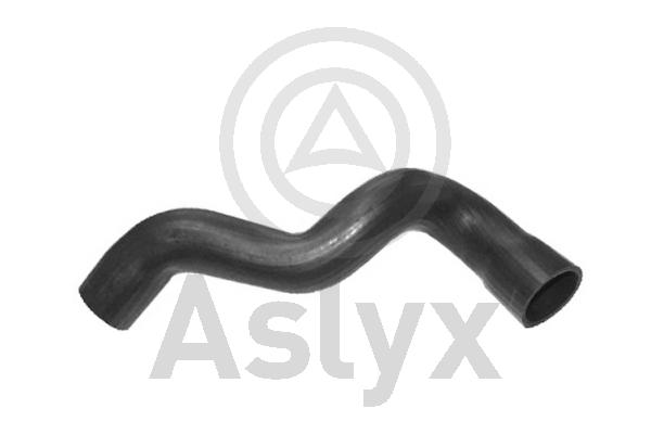 Charge Air Hose (AS-204107)