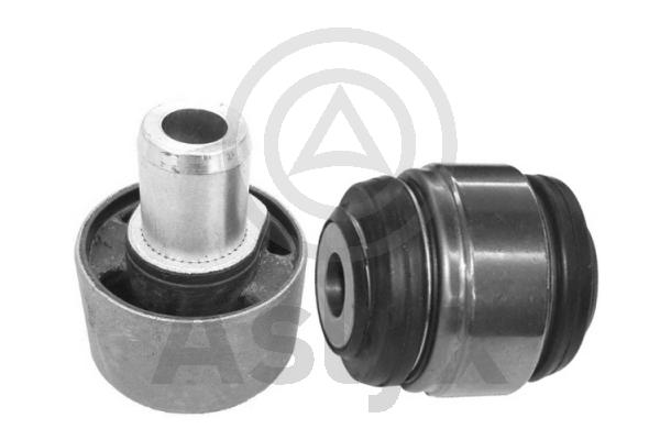 Mounting and Bolting Kit, control/trailing arm (AS-202947)
