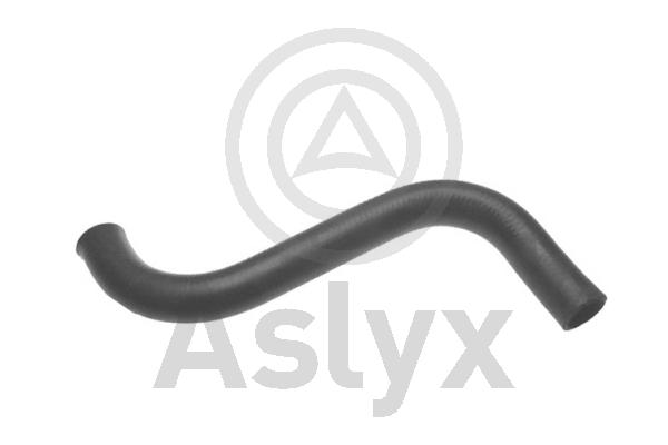 Radiator Hose (AS-203534)