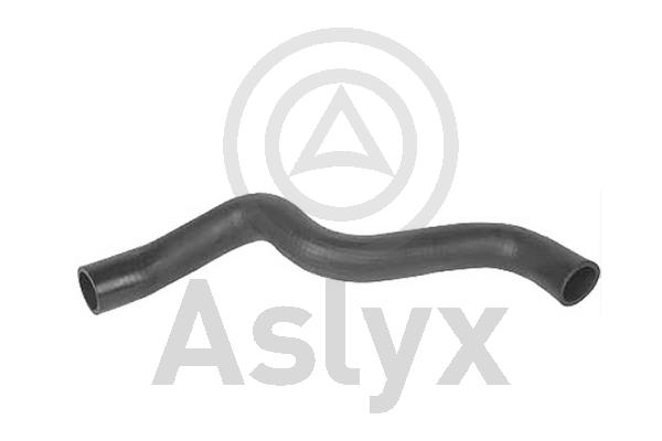 Radiator Hose (AS-204420)