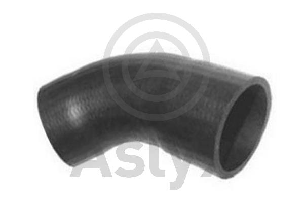 Charge Air Hose (AS-509784)