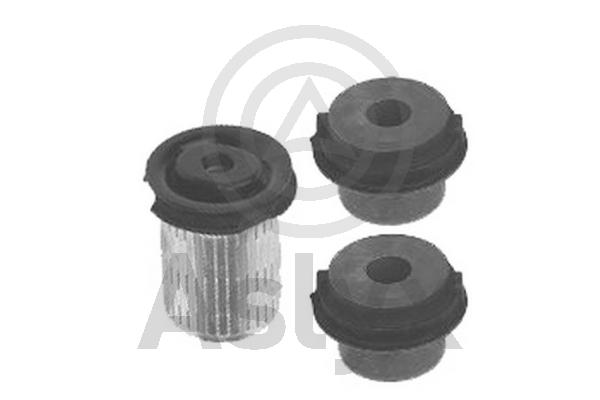 Mounting and Bolting Kit, control/trailing arm (AS-202419)