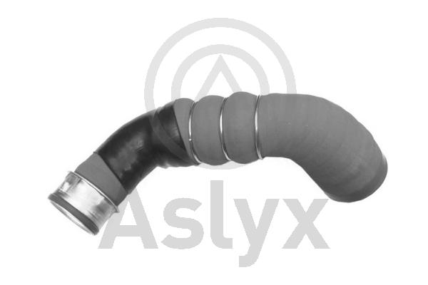 Charge Air Hose (AS-509815)
