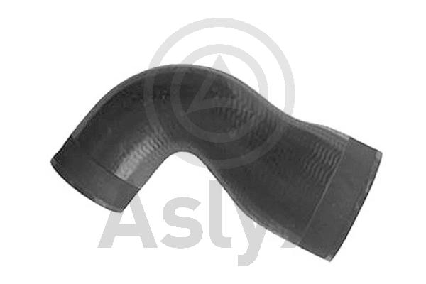 Charge Air Hose (AS-204534)