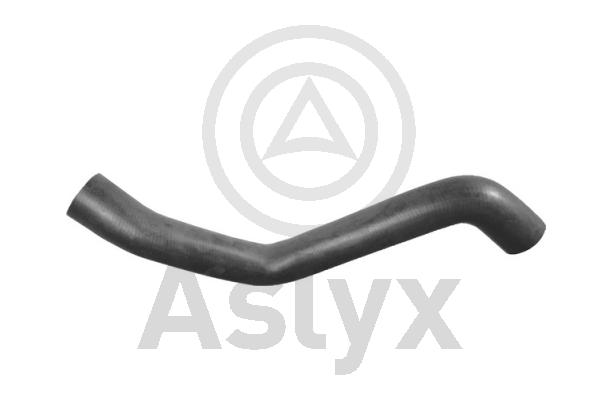 Radiator Hose (AS-203703)