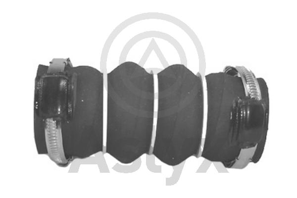 Charge Air Hose (AS-594198)