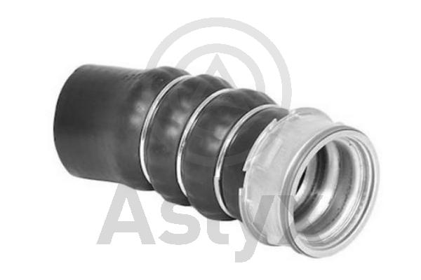 Charge Air Hose (AS-509926)