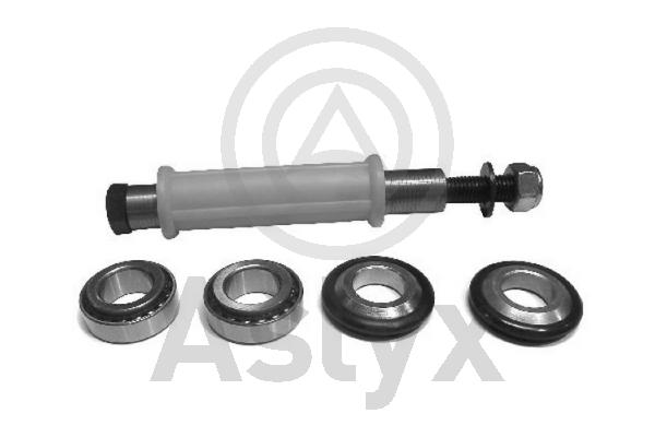 Repair Kit, control/trailing arm (AS-201053)