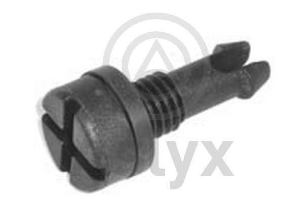 Bolt, radiator cap (AS-535504)