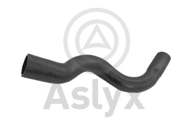 Radiator Hose (AS-203909)