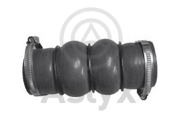 Charge Air Hose (AS-204234)