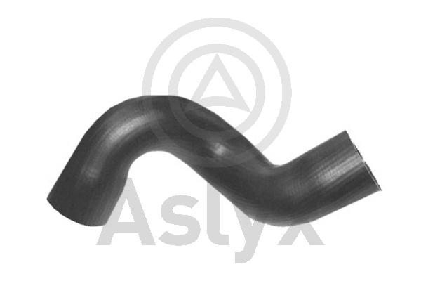Charge Air Hose (AS-204106)