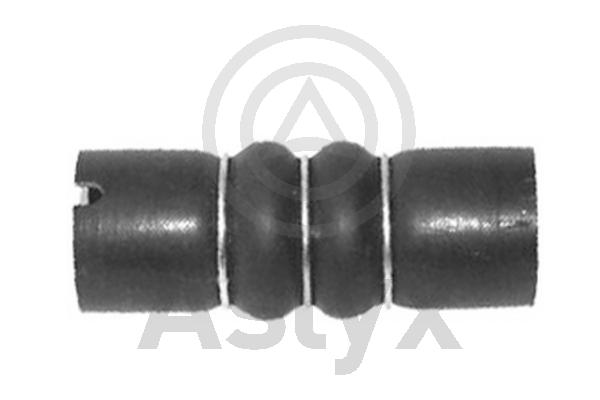 Charge Air Hose (AS-204350)