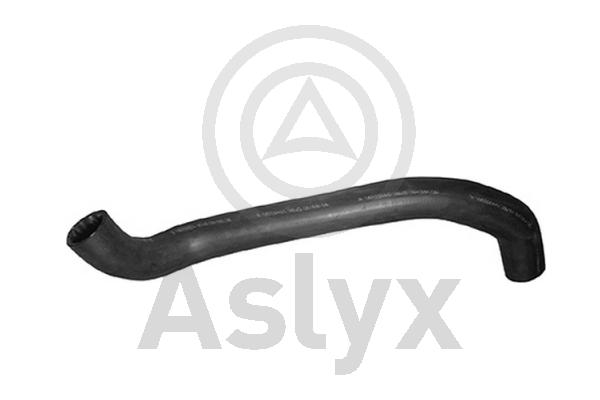 Radiator Hose (AS-202496)