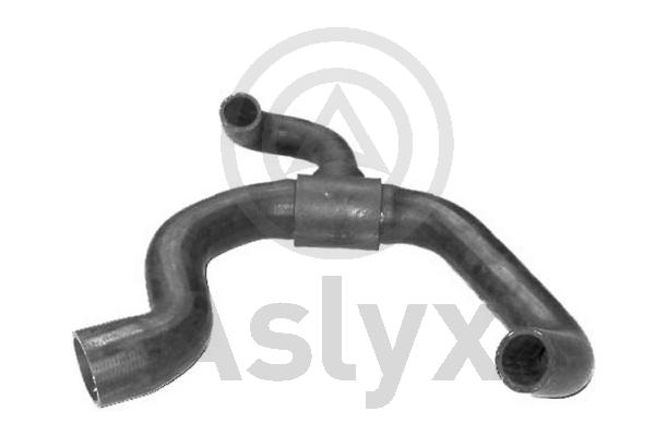 Radiator Hose (AS-203962)