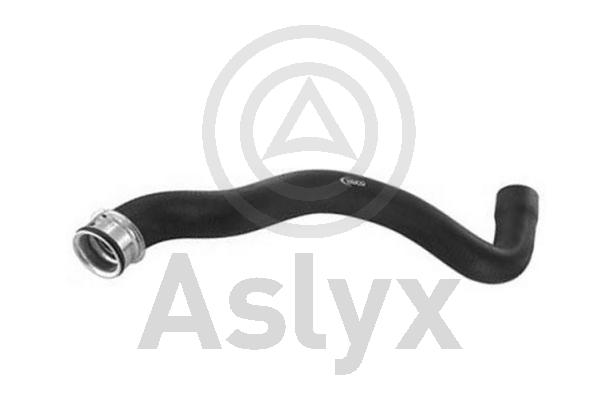 Radiator Hose (AS-510050)