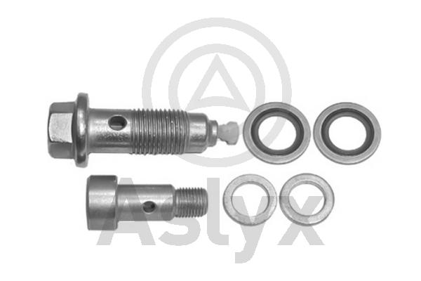 Banjo Bolt, charger (AS-506285)