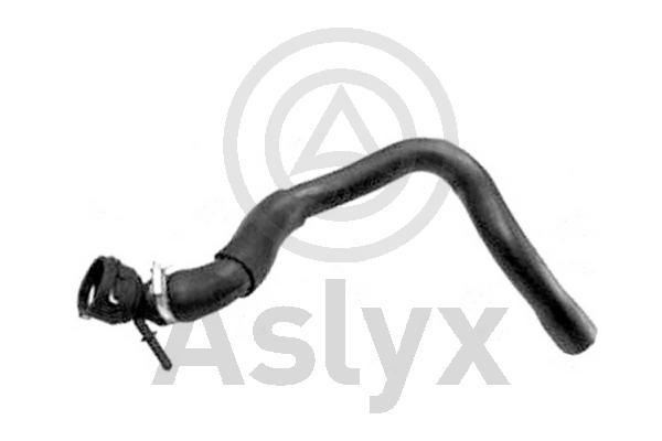 Radiator Hose (AS-204483)