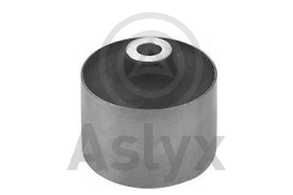 Bushing, axle beam (AS-201994)