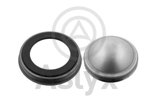 Shaft Seal, wheel hub (AS-202287)