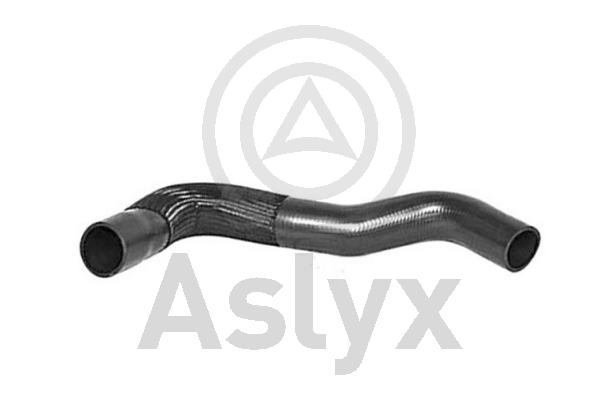 Charge Air Hose (AS-509730)