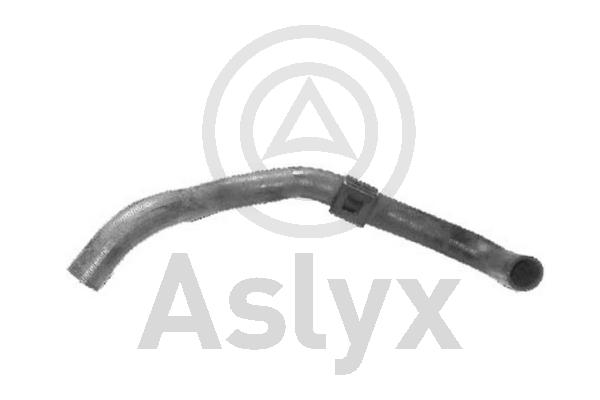 Radiator Hose (AS-203946)