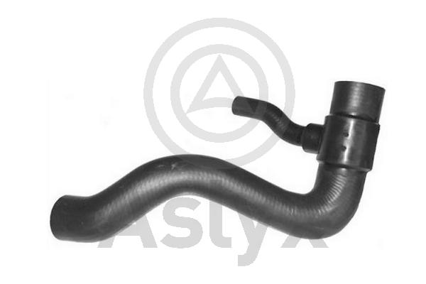 Radiator Hose (AS-510032)