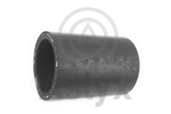 Charge Air Hose (AS-204095)