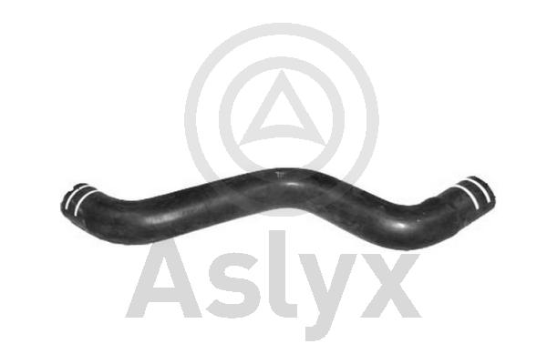 Radiator Hose (AS-594002)