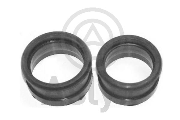 Charge Air Hose (AS-202119)