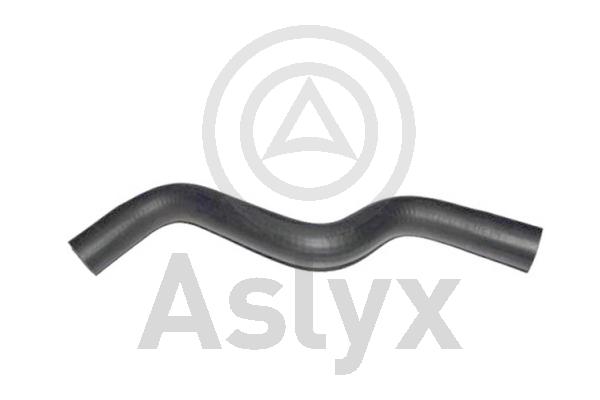 Radiator Hose (AS-203775)