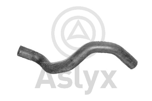 Radiator Hose (AS-203919)