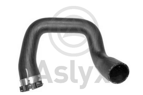 Charge Air Hose (AS-509779)