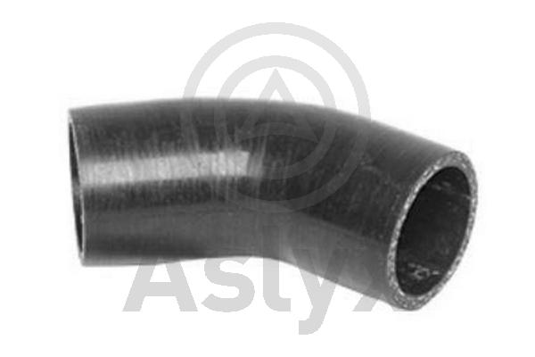 Charge Air Hose (AS-509724)