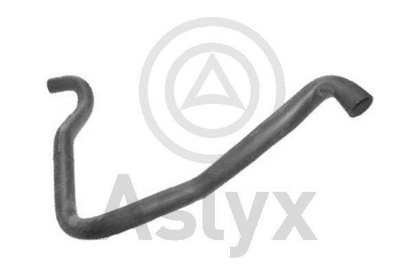 Radiator Hose (AS-203998)