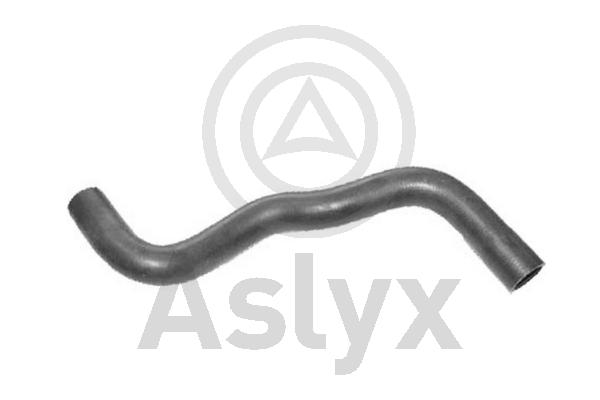 Radiator Hose (AS-204002)